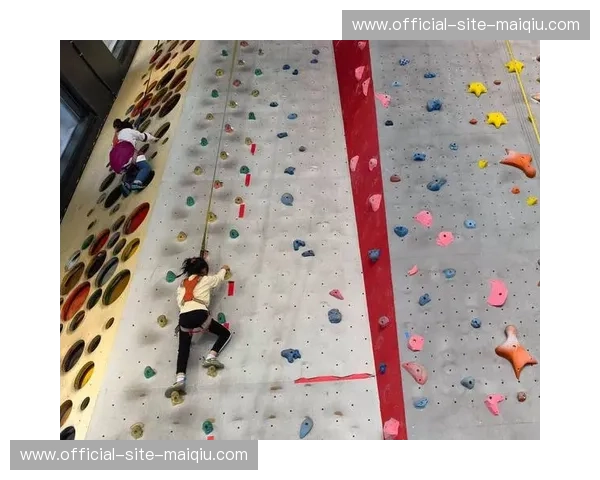 打造极致攀岩体验,尽享“排名攀岩入口”的无限魅力